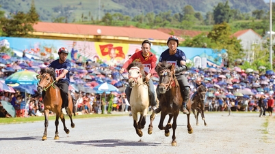 Vó ngựa trên mây Bắc Hà