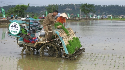 Joyfully heading to the fields to sow and plant spring rice.