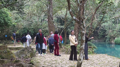 চান্দ্র নববর্ষের (ঘোড়ার বছর) প্রথম দিনে প্যাক বো জাতীয় বিশেষ ঐতিহাসিক স্থান ৩,৬০০ জনেরও বেশি দর্শনার্থীকে স্বাগত জানিয়েছে - কাও ব্যাং অনলাইন সংবাদপত্র।
