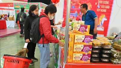 Market on the first day of the Lunar New Year 2026 (Year of the Horse): Trading is quiet, supply and demand are stable.