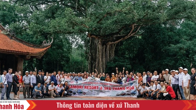 Lam Kinh - Lamori: Wiosna w harmonii