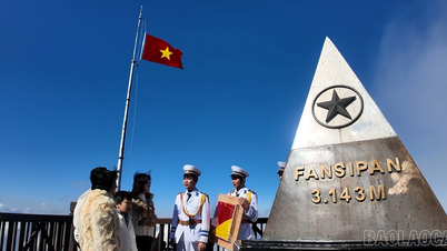 Bendera nasional berkibar di puncak Fansipan.
