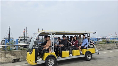 Quang Ninh tourism is thriving right from the first day of the Lunar New Year of the Horse.