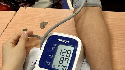 Welke invloed heeft alcoholgebruik tijdens Tet (Vietnamees Nieuwjaar) op bloeddrukmedicatie?