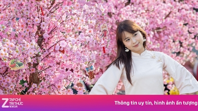 The 'muse' had difficulty finding a good photo spot on Nguyen Hue flower street.