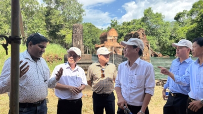 Cooperarea internațională în conservarea sitului Patrimoniului Cultural Mondial My Son.