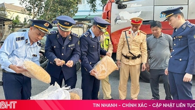 Ha Tinh market management authorities handled nearly 200 violations during the peak Tet holiday season.