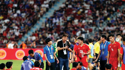 ভিয়েতনাম U23 এবং তাদের অবিশ্বাস্য যাত্রার রহস্য।