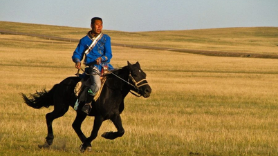 Desentrañando el misterio de la legendaria raza de caballos que ayudó a Mongolia a convertirse en gobernante mundial.