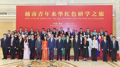 Asia-Africa Partnership: Deepening the social foundation with countries in the region.