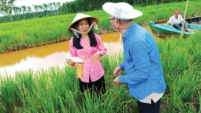 ត្រា មី និង អេអាយ