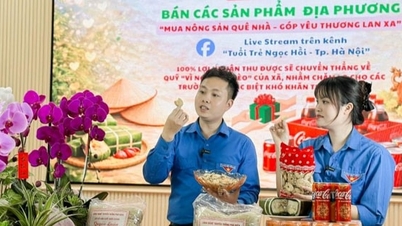 El desarrollo económico de Ngoc Hoi está vinculado a la mejora del nivel de vida de la población.