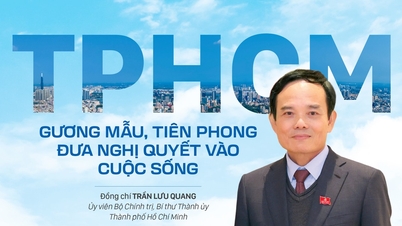 Cidade de Ho Chi Minh: Exemplar e pioneira na implementação de resoluções.