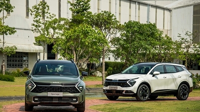 KIA Sportage 2026: Обновленная цена с учетом всех налогов и сборов, а также скидка в 30 миллионов донгов на версию X-Line.