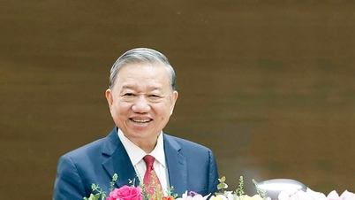 포괄적인 외교 관계를 새로운 차원으로 끌어올립니다.