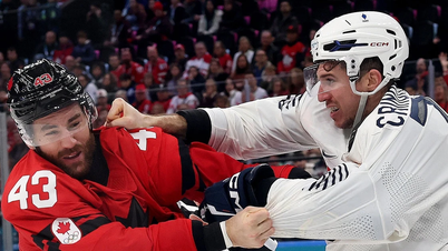 De Franse ijshockeyster sloeg zijn tegenstander en betaalde daar een hoge prijs voor.