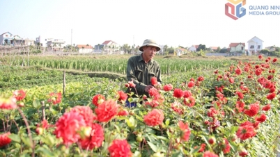 Quang Yen Ward: Paving the way for a new phase of development.