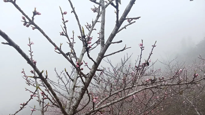 Une masse d'air froid affecte Hanoï et le Nord, se propageant vers la région Centre.