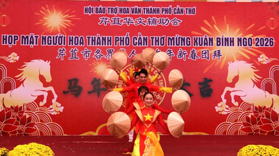 Reunião da comunidade chinesa na cidade de Can Tho para celebrar o Ano Novo Lunar do Cavalo de 2026.