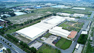 Da Nang: Eliminando cuellos de botella en la inversión y mejorando las operaciones en muchos clústeres industriales.