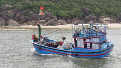 សំឡេងស្គរបីគ្រាប់បង្ហាញពីការចាប់ផ្តើមនៃឆ្នាំថ្មី ហើយទូកនេសាទមកពីខេត្តក្វាងង៉ាយបានចេញដំណើរនៅថ្ងៃដំបូងនៃឆ្នាំ។