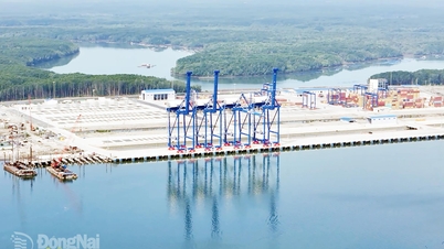 Dong Nai – une destination de confiance pour les investisseurs internationaux.