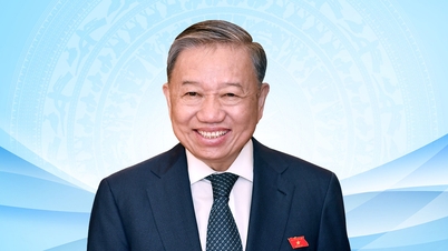 林鄭月娥事務総長の外交問題に関する記事からの要点の一部。