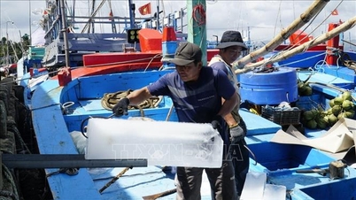 Para nelayan berangkat ke laut, berharap mendapatkan hasil tangkapan yang melimpah.