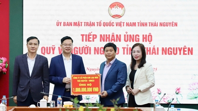 Ανώνυμη Εταιρεία Μη Σιδηρούχων Μετάλλων Thai Nguyen: Καινοτομία, Δημιουργικότητα, Πρωτοπορία