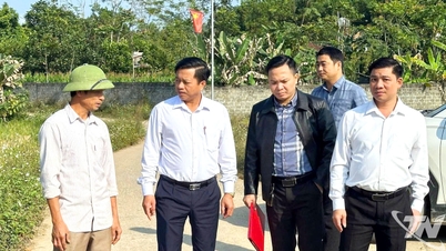 Phuc Thuan ایک پیش رفت کے لیے رفتار پیدا کرتا ہے۔