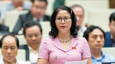 Députée Nguyen Thi Lan (Délégation de l'Assemblée nationale de la ville de Hanoï) : Relier les situations réelles à l'élaboration des politiques.