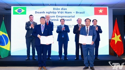 Trong Khoi Co., Ltd.: Dong Nai-tól Thai Nguyenig - A zöld állattenyésztési modell elterjesztésének útja.