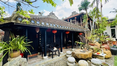 Restoring four century-old houses, preserving the ancient soul of Quang land.