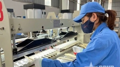 Le nouveau modèle de croissance ouvre une « fenêtre d'opportunité » pour les petites et moyennes entreprises.