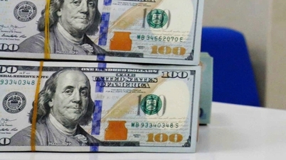 Taxa de câmbio do dólar americano hoje, 19 de fevereiro de 2026: Taxas mistas do "mercado paralelo".
