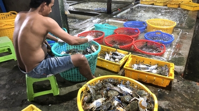Vårutflykt till skaldjursmarknaden Ham Ninh.