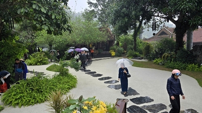 Pengunjung meredah hujan musim bunga untuk mengagumi pemandangan di Pagoda Dia Tang Phi Lai.