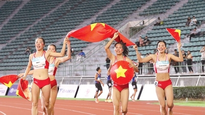 ハノイスポーツ：