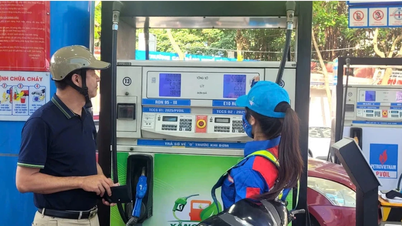 El Ministerio de Industria y Comercio ha elaborado un plan detallado para introducir simultáneamente la gasolina E5 y E10 a partir del 1 de junio.