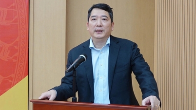 Deputy Minister of Finance: Tax reform does not prioritize increasing revenue.