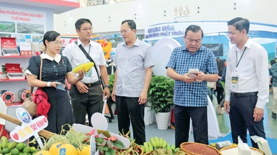 Promoción comercial en Tay Ninh: centrándose en la profundidad y en resultados tangibles.