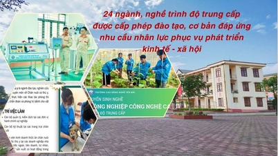 Lao Cai verwaltet und überprüft die Liste der Ausbildungsbereiche und Berufe in der Berufsbildung.