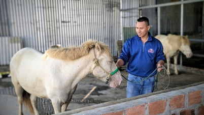 午年に馬の飼育に関する話を聞きました。