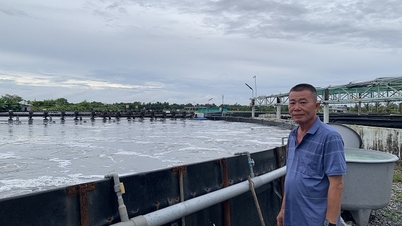 Le « père » des bassins à crevettes hors sol.