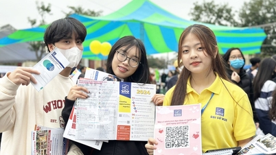 Las universidades han dejado de considerar la combinación del examen IELTS y las transcripciones académicas.