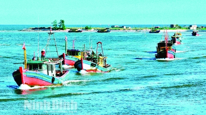 Tet (Año Nuevo vietnamita) para aquellos que "se aventuran en el mar y se ganan la vida pescando".