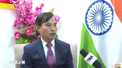 Vietnam-India trade maintains growth momentum amidst global headwinds.