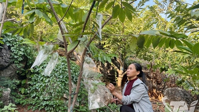 ការធ្វើឱ្យសេដ្ឋកិច្ចក្នុងស្រុកបៃតង