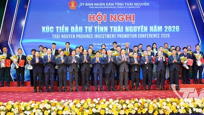 'Yabancı doğrudan yatırımları çeken mıknatıs'.