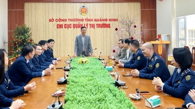 Le vice-président du Comité populaire provincial, Le Van Anh, a rendu visite au Département provincial de gestion des marchés et au Centre provincial de désintoxication et leur a présenté ses vœux de Nouvel An.
